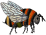 BarronBee
